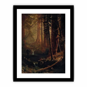 Giant Redwood Trees of California