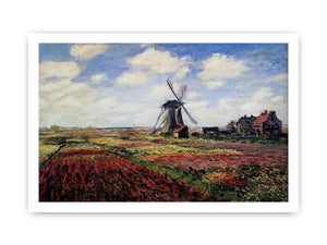 Field Of Tulips In Holland