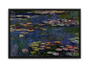 Water Lilies