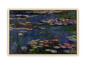 Water Lilies
