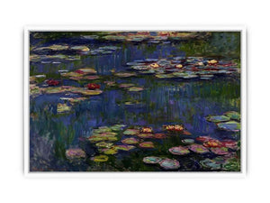 Water Lilies