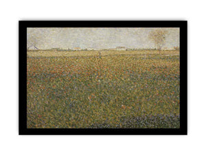 Alfalfa Fields, Saint-Denis