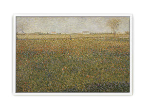 Alfalfa Fields, Saint-Denis
