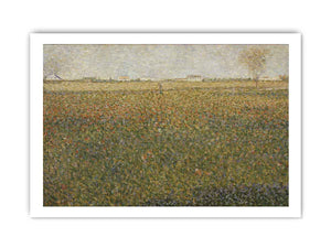 Alfalfa Fields, Saint-Denis