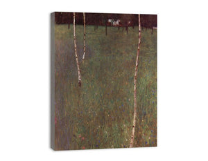 Farmhouse With Birches