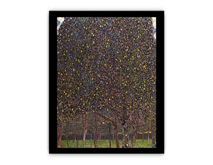 The Pear Tree