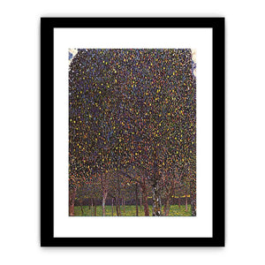 The Pear Tree