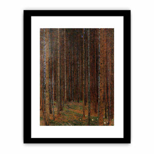 Fir Forest I
