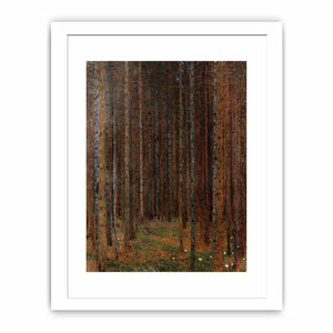 Fir Forest I