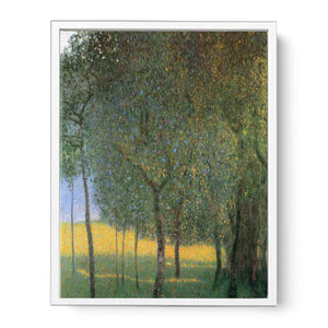 Fruit tree