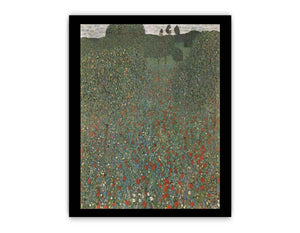 Poppy Field