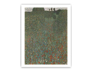 Poppy Field