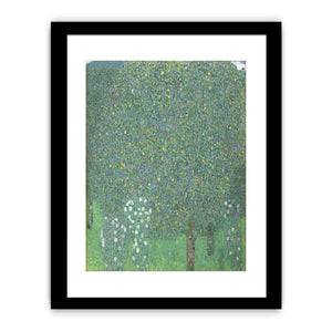 Roses Under the tree 1905