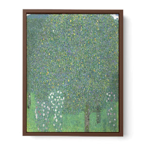Roses Under the tree 1905