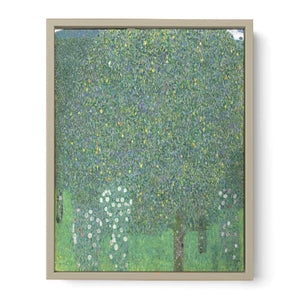 Roses Under the tree 1905