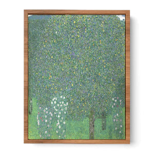 Roses Under the tree 1905