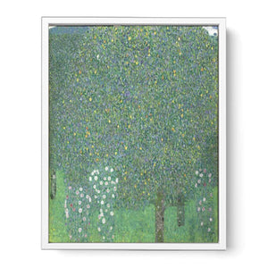 Roses Under the tree 1905