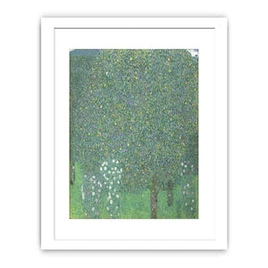 Roses Under the tree 1905