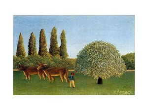 Meadowland