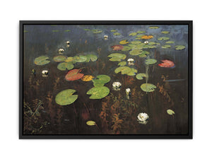 Water lilies