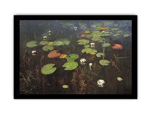 Water lilies