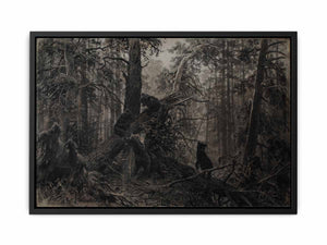 Morning in a pine forest
