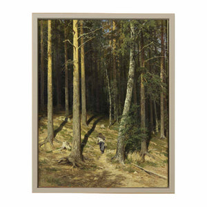 A pine forest