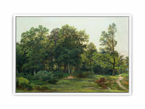 Deciduous forest