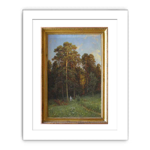 The Edge of a Pine Forest