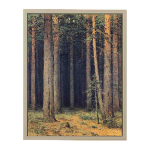 Forest Reserve, Pine Grove
