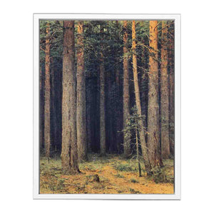 Forest Reserve, Pine Grove