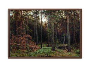 Pine Forest 1885