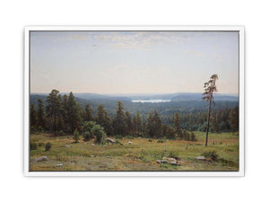 The forest distant views
