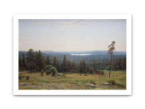 The forest distant views