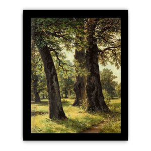 Oaks