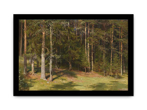 The clearing