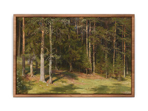 The clearing