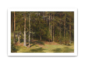 The clearing