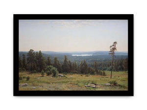The forest distant views