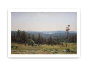 The forest distant views