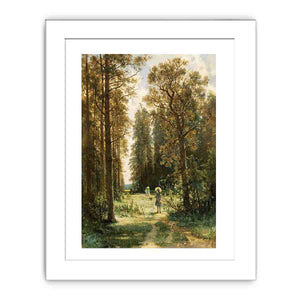 The Path in the Forest