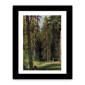 The Edge of the Forest