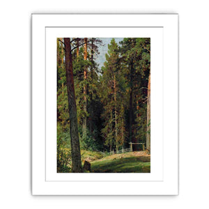 The Edge of the Forest