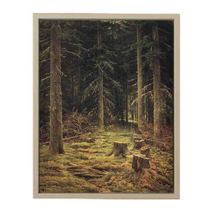 Coniferous forest