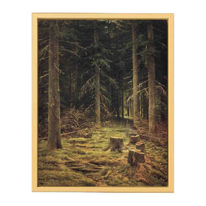 Coniferous forest