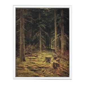 Coniferous forest