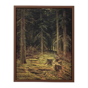 Coniferous forest