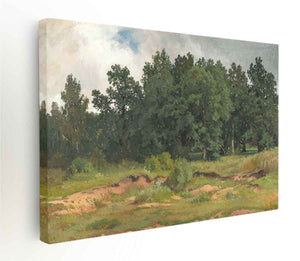 Oak Wood in a Gray Day