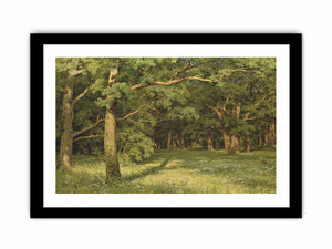 The Forest Clearing