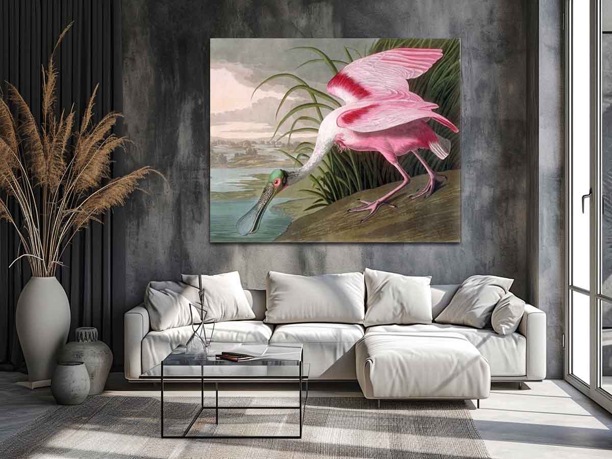 Roseate Spoonbill, Platalea leucorodia, 1836